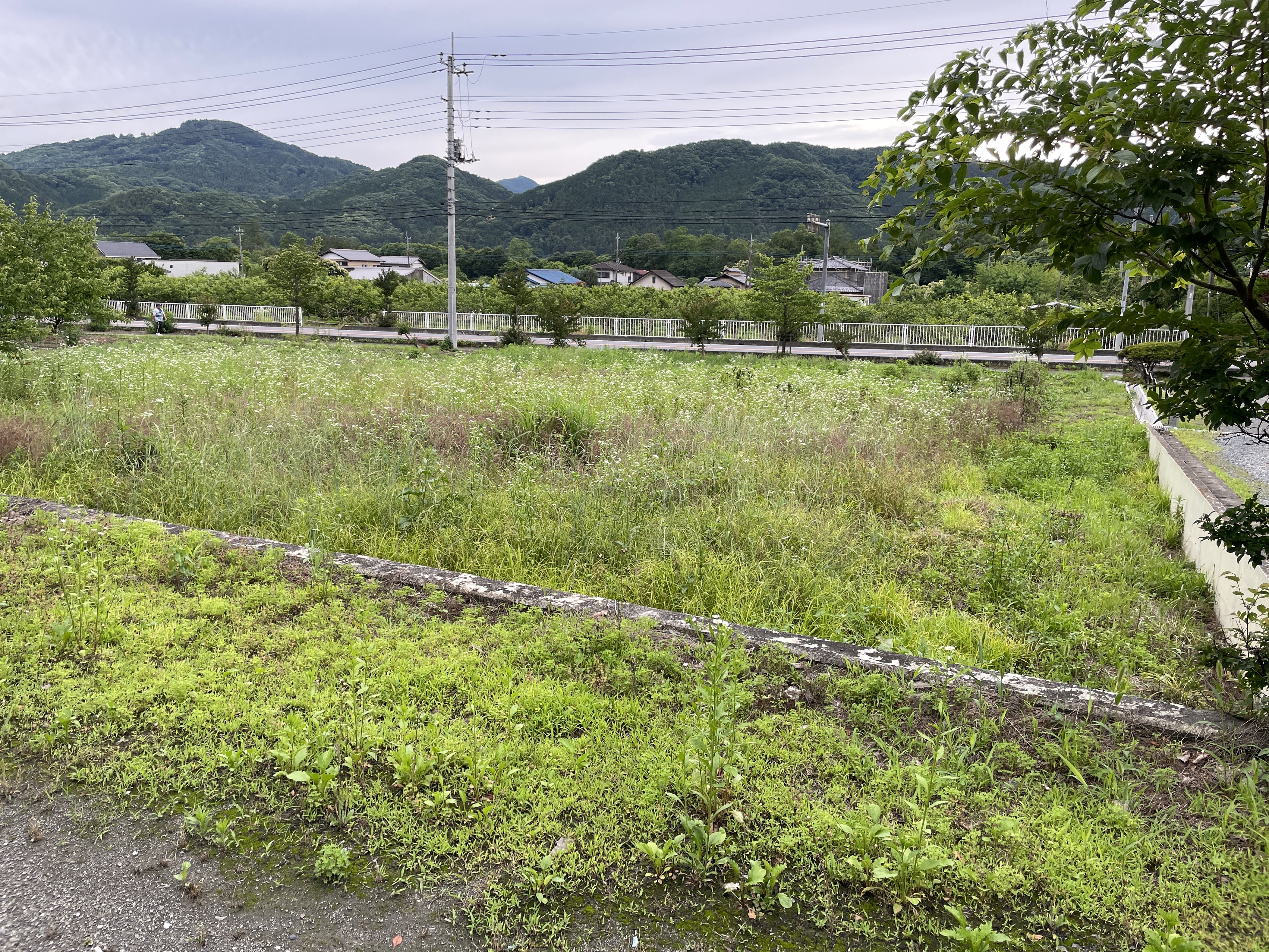 秩父郡長瀞町井戸【Ｂ】640万円　土地埼玉県秩父郡長瀞町井戸 秩父鉄道野上640万円